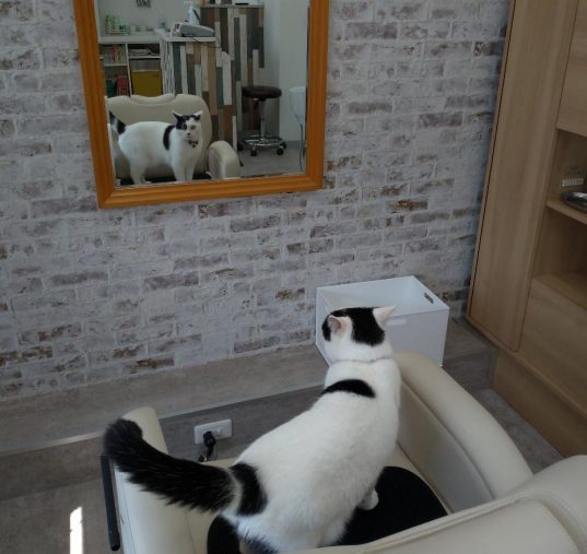 俺の髪型、決まってるかなあ?