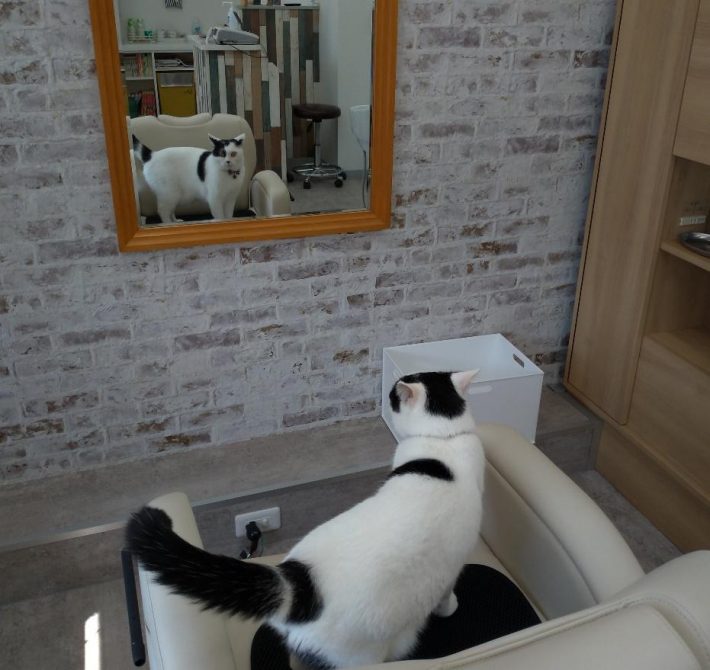 俺の髪型、決まってるかなあ？