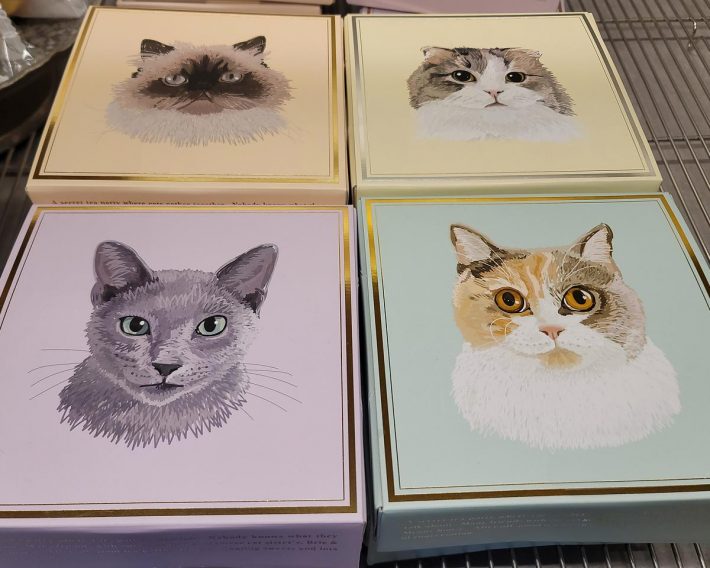 ネコ柄の入れ物も要チェック