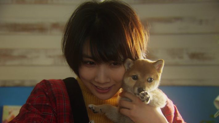 タワシを買いに来た感覚で犬猫を