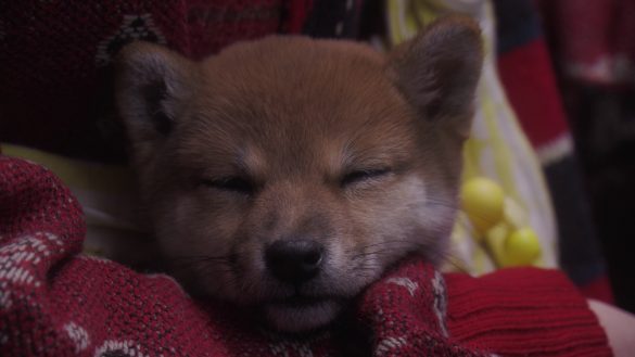 状況は気持ちひとつで変えられる