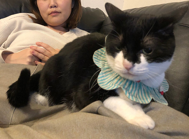 幸せの重みに体がしびれる…