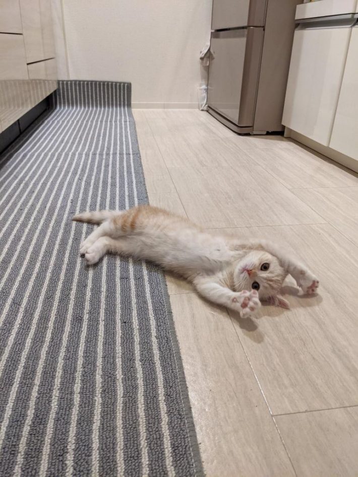 ういろちゃん10