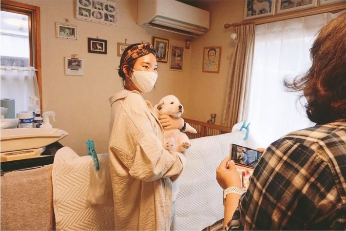 初めてシュシュに会った日