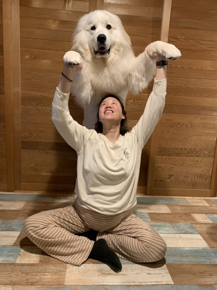 カモシカなどの野生動物と遭遇する