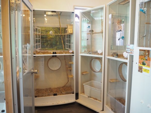 シマリスカフェ