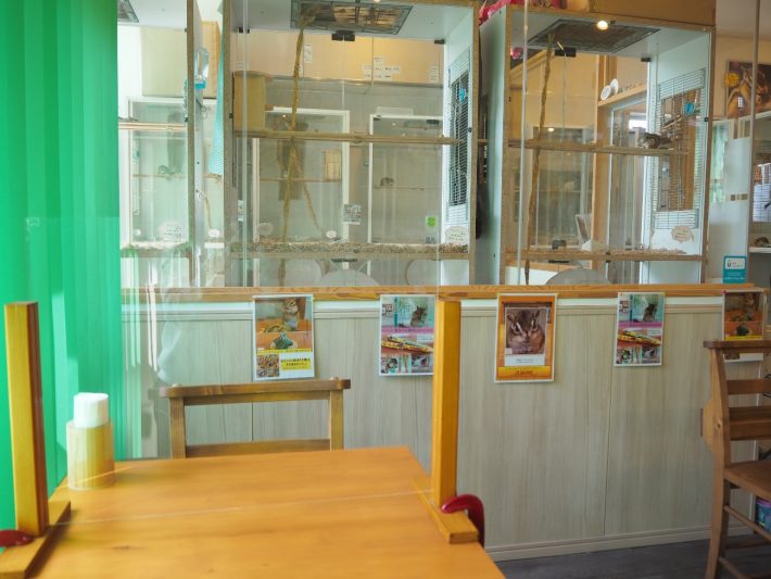 シマリスカフェ