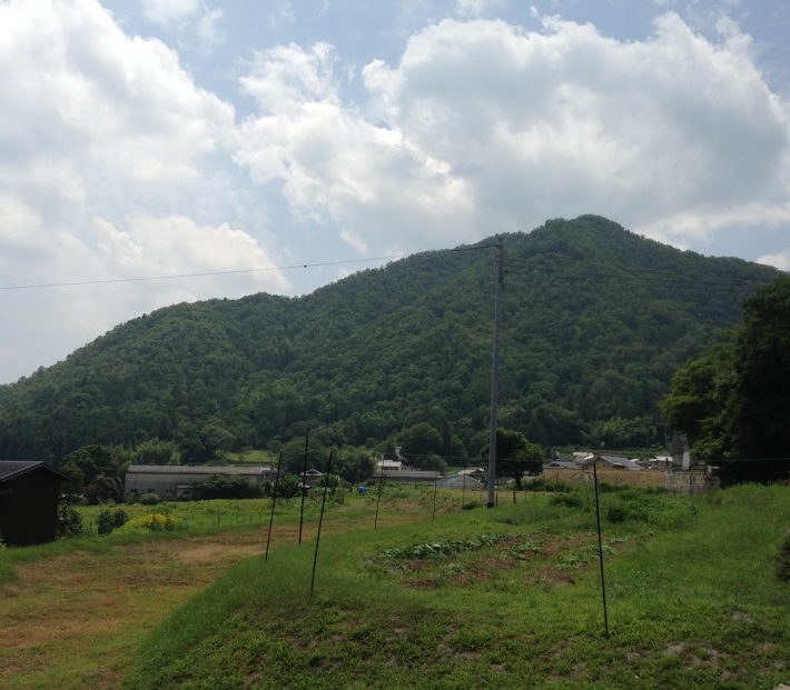 一緒にお風呂入ろうと誘われる