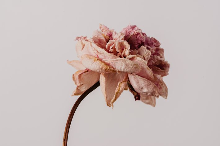 元同僚の言葉に目が覚める