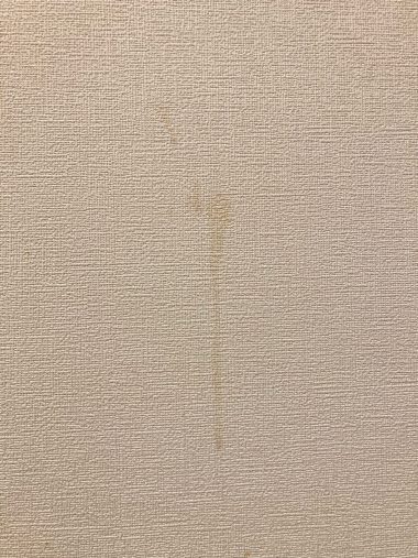 家の壁についたシミ