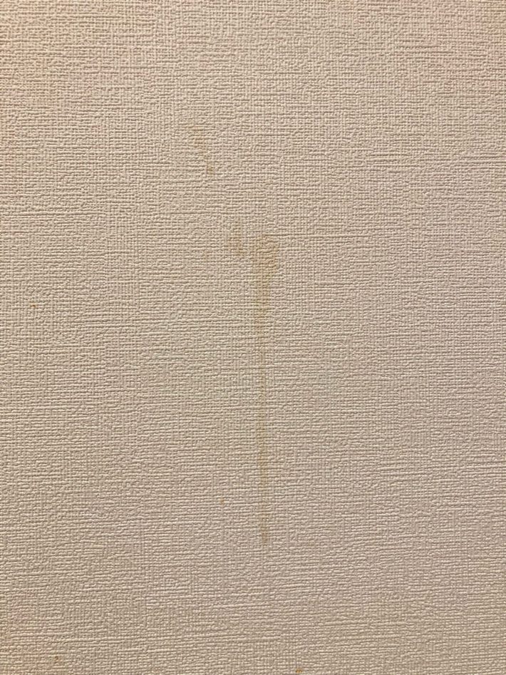 家の壁についたシミ