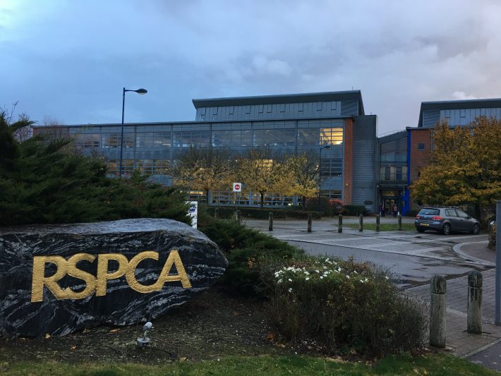 取材で訪れたイギリスの動物愛護団体・RSPCA