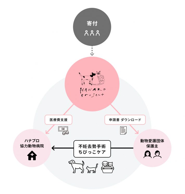 “不妊去勢手術”と“ちびっこケア”をスタート