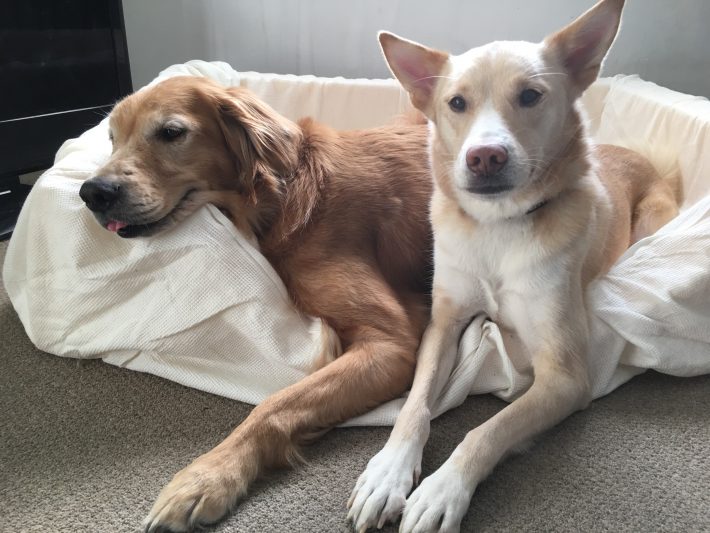 もっと命を救うために。小さな積み重ねが大きな力になる