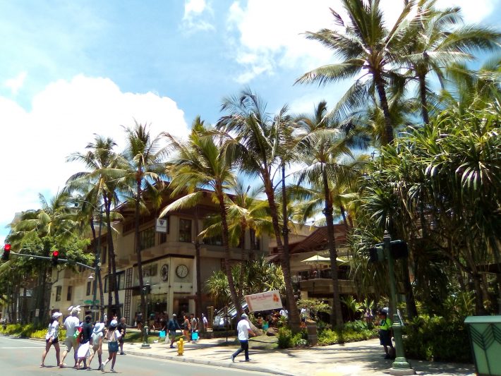 各種の規制はほとんど無し