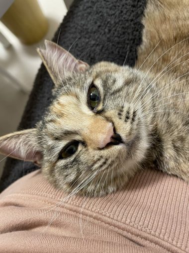 リラックスするキキちゃん