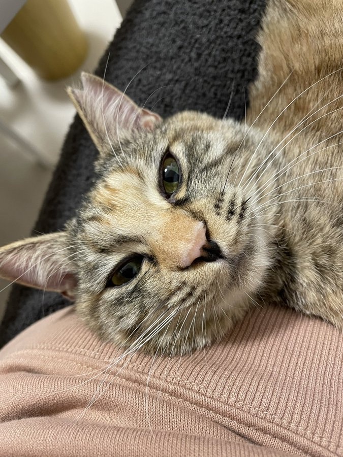 リラックスするキキちゃん