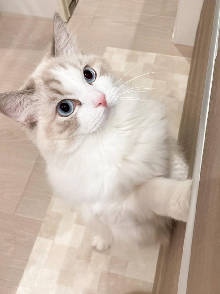 料理中のチェックも忘れない