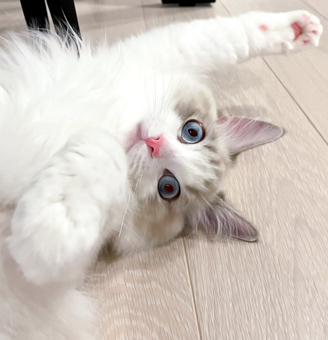 くつろぐ海くん