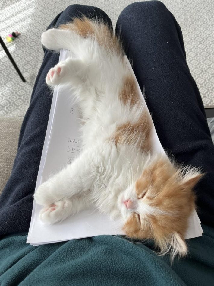 勉強中でもお構いなし