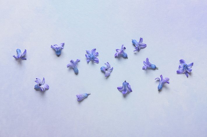 義姉の発言にガッカリ