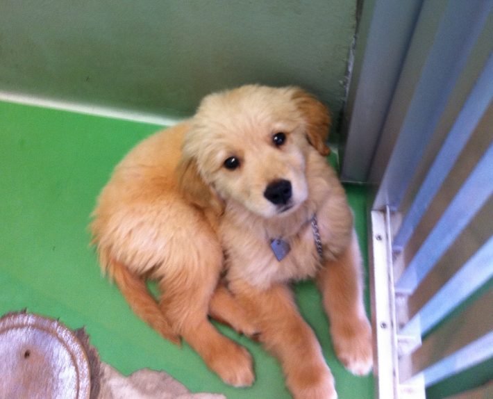 残りの人生をもうちょっと還元したいと思った