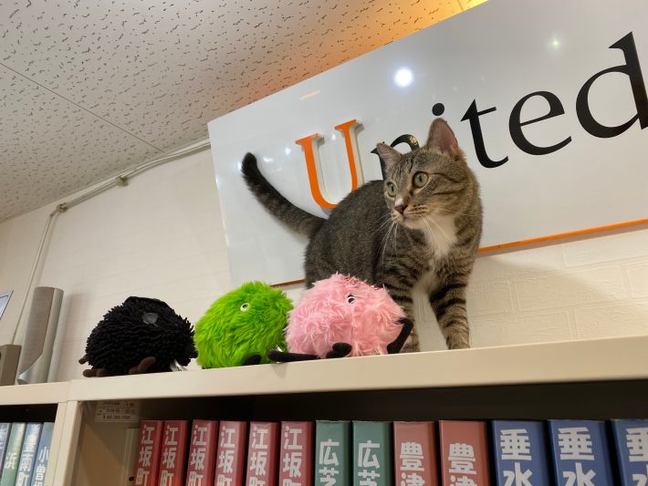 棚を制覇して満足そうなトラくん