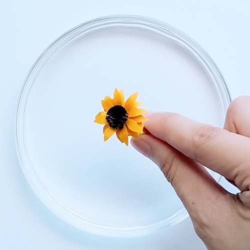 Kino.Q「溶ける指輪　ひまわり」