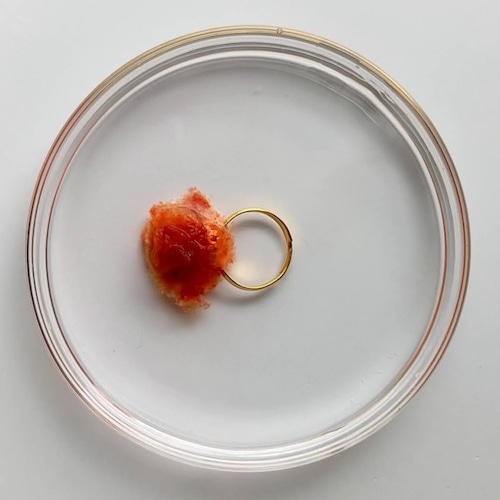 Kino.Q「溶ける指輪　バラのつぼみ赤」