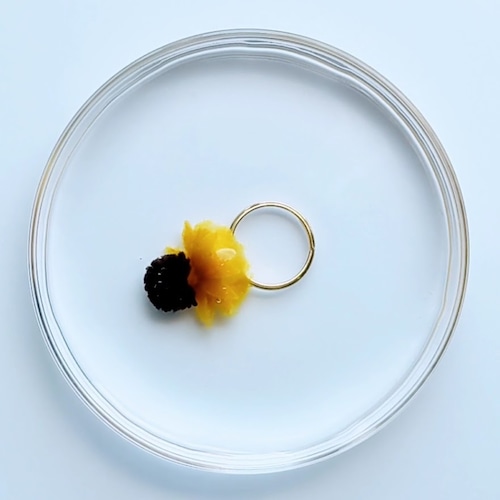 Kino.Q「溶ける指輪　ひまわり」