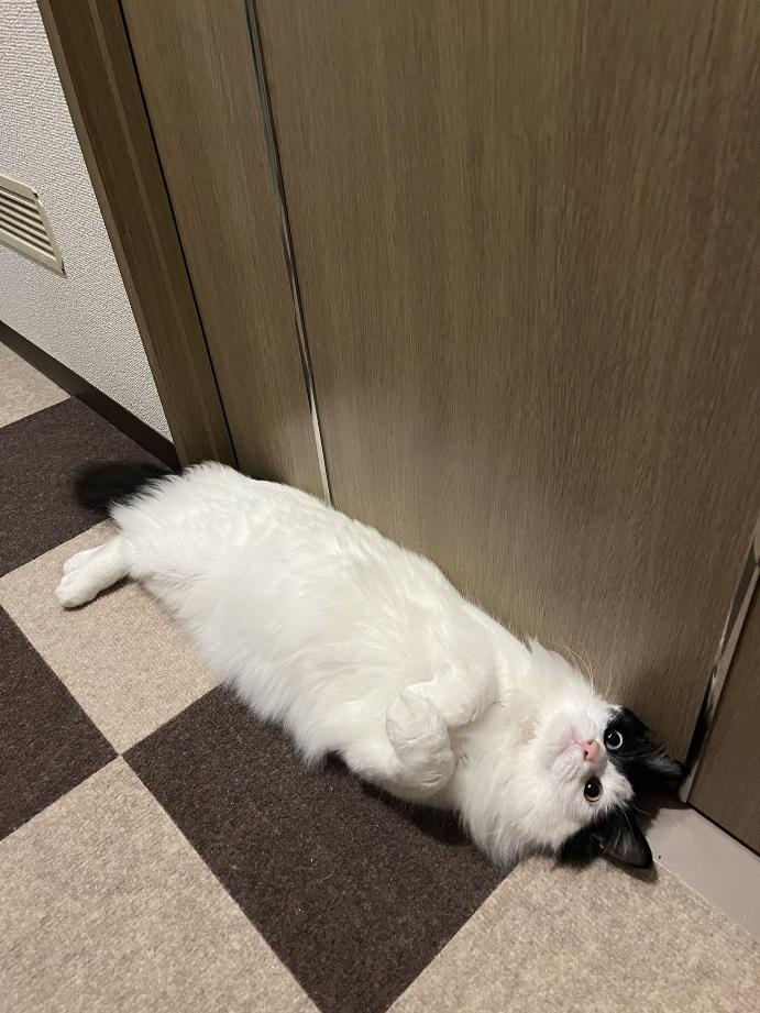 実はツンデレな性格