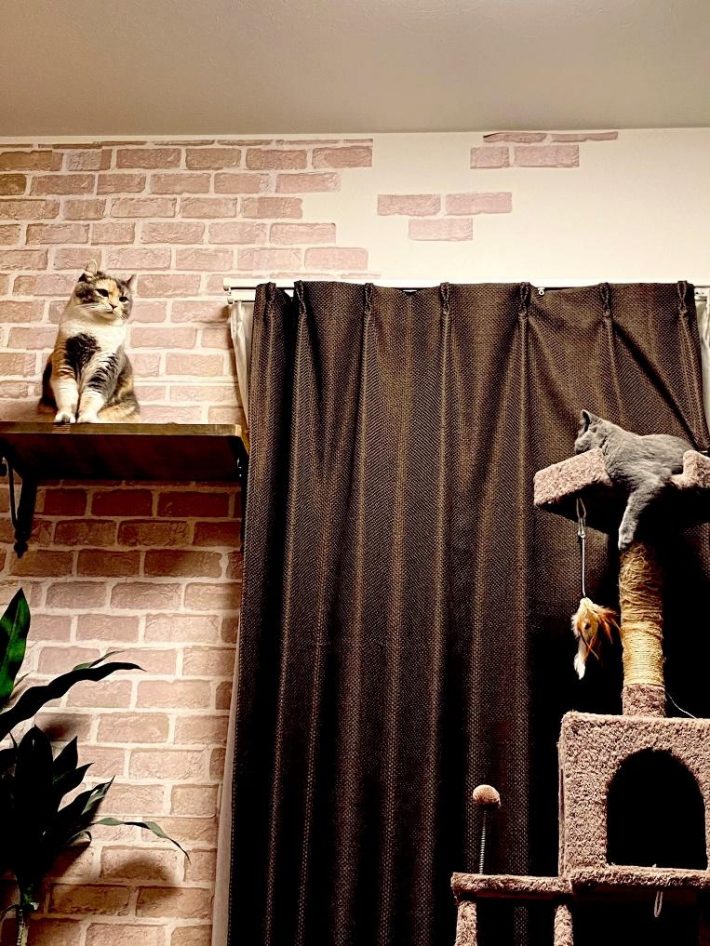 ムギちゃんとラズちゃん