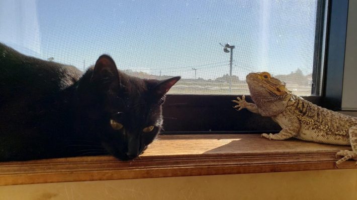 ひなたぼっこ中の2人