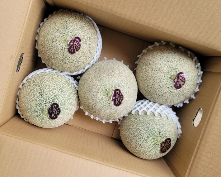 傷など一切なく、カタチも美しいアンデスメロンが5玉並んでいます