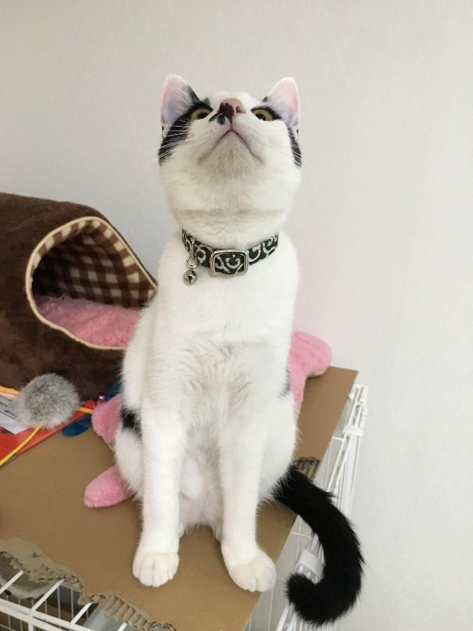 むーん顔だってできるもん！