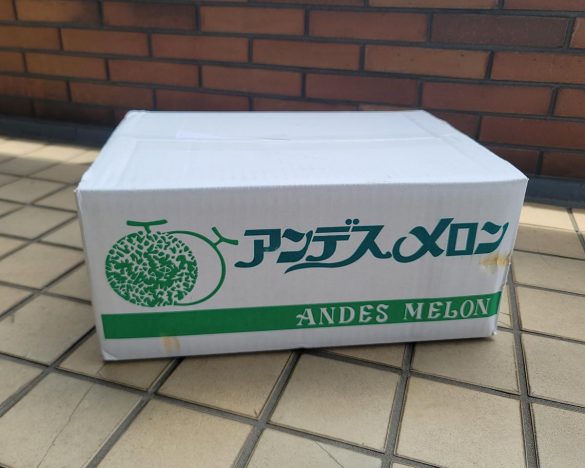 注文して届いた河野FARMのアンデスメロン。5玉が送料込で3400円