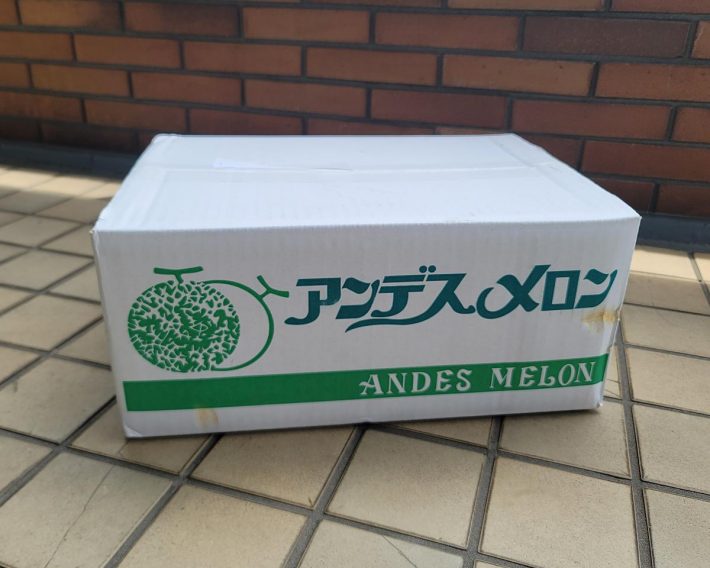 注文して届いた河野FARMのアンデスメロン。5玉が送料込で3400円