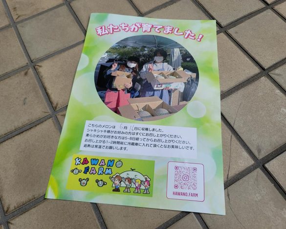 同封されていた説明書。生産者情報も調べることができます