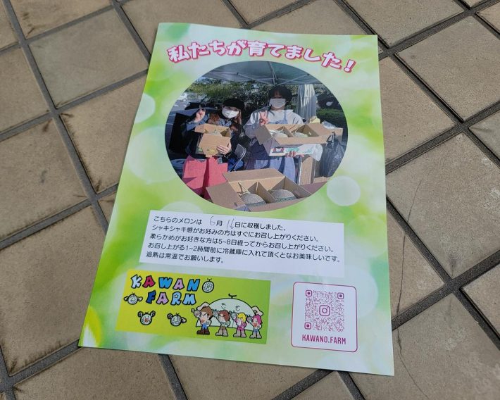 同封されていた説明書。生産者情報も調べることができます