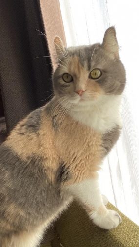 ビビりなムギちゃん