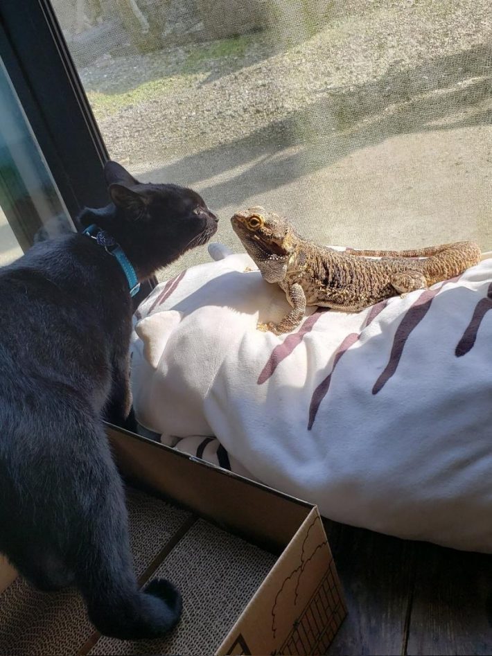 顔を寄せ合う姿