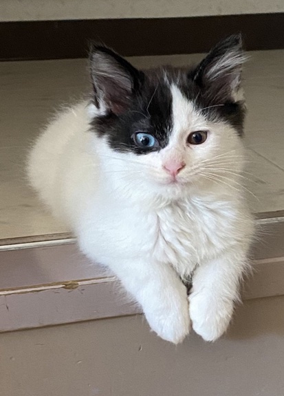 保護後2日目の様子