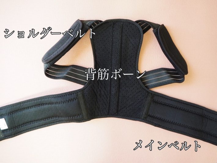 本体を広げてみた