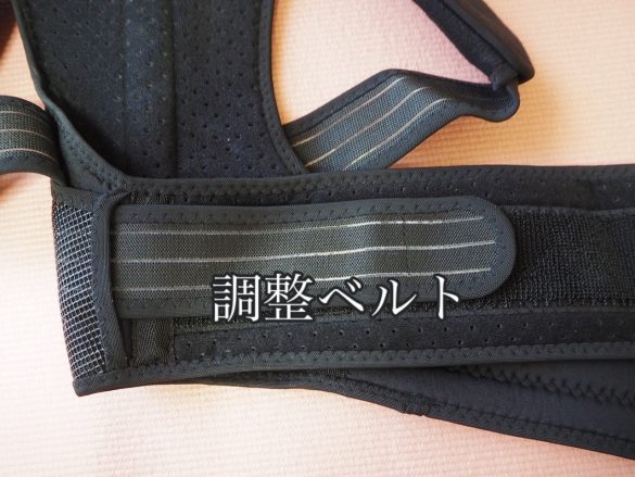 調整ベルト