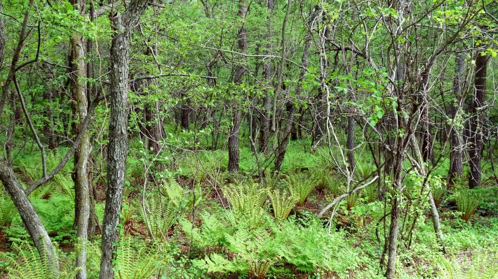 子ども達のイタズラでヘトヘトに