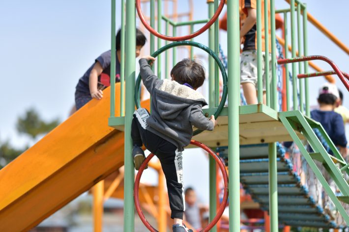 公園で1年ぶりに再会
