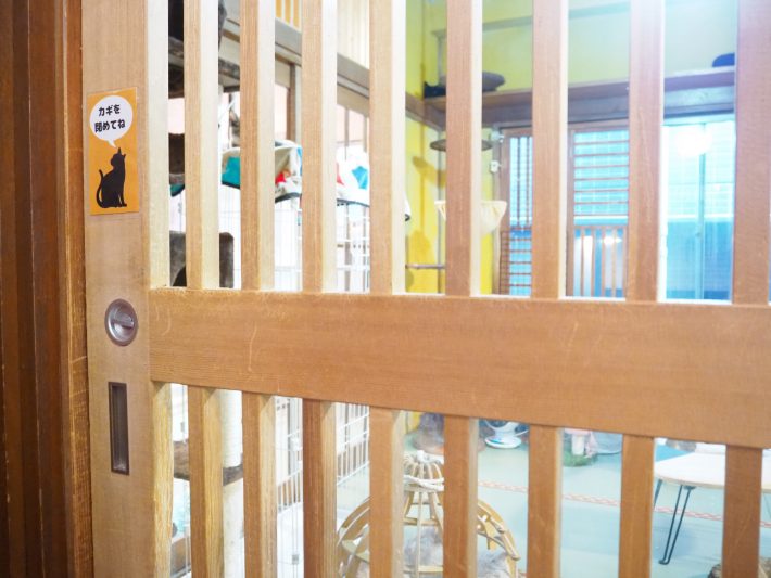 ネコリパブリック