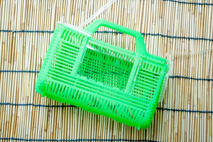 虫取りあみと虫かごを持ってきていた