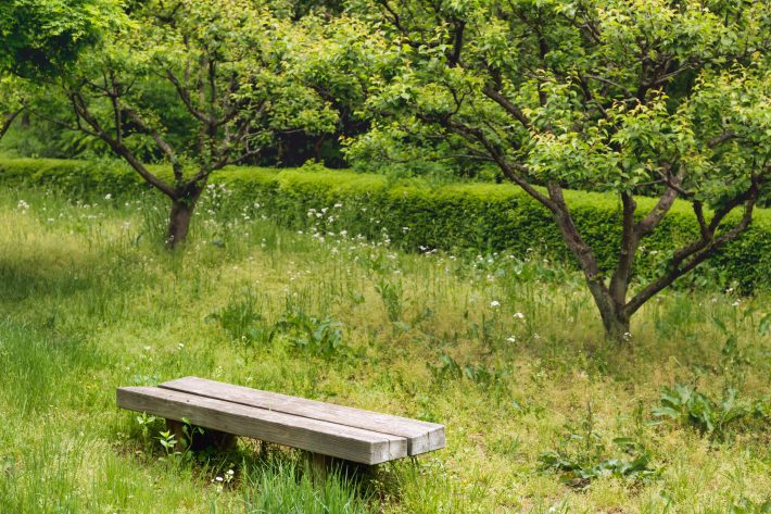 虫取りに夢中の彼を置いてホテルへ戻る