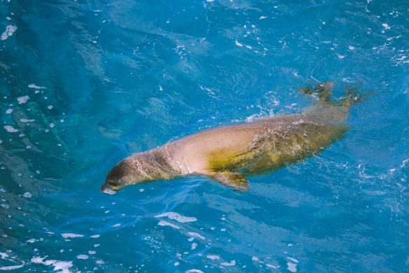 悲鳴をあげながら襲われる女性